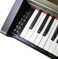 Pian digital Pearl River F-12 WH imaginea #3 — magazin online Desire.md