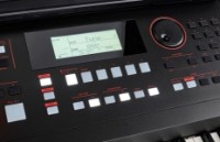 Sintetizator digital Roland E-X50 imaginea #4 — magazin online Desire.md