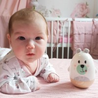 Игровой набор Tooky Toy TF455 фото №3 — интернет-магазин Desire.md