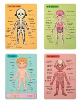 Joc educativ Tooky Toy TH842 imaginea #3 — magazin online Desire.md