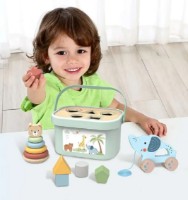 Сортер Tooky Toy TJ011 фото №3 — интернет-магазин Desire.md