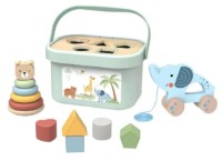 Сортер Tooky Toy TJ011