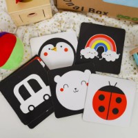 Развивающий набор Tooky Toy TK750 фото №6 — интернет-магазин Desire.md