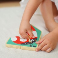 Развивающий набор Tooky Toy TK753 фото №10 — интернет-магазин Desire.md