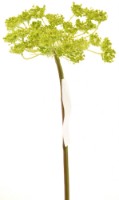 Floare decorativă Casa Masa 53cm (L16597/GR)