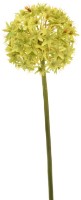 Floare decorativă Casa Masa Allium 60cm Green (L20501/GR)