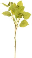 Floare decorativă Casa Masa Aronia 56cm Green (L20647/GR)