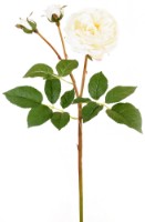 Floare decorativă Casa Masa Austin 55cm (L21858/WH)