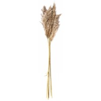 Floare decorativă Casa Masa M 6pcs (71808-N10)