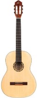 Chitara clasica Ortega R121SN NT imaginea #1 — magazin online Desire.md