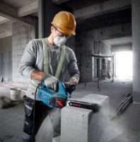 Ferăstrău cu lanţ electric Bosch GAC 250 (B06012B6020) imaginea #2 — magazin online Desire.md