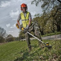 Motocoasă pe acumulator DeWalt DCMST561N imaginea #4 — magazin online Desire.md