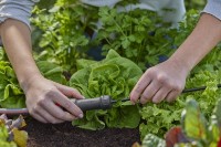 Filtru reductor presiune Gardena 13333-20 imaginea #2 — magazin online Desire.md