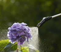 Аккумуляторный опрыскиватель Gardena Comfort 5L (11136-20) фото №4 — интернет-магазин Desire.md