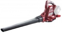 Aspirator-suflător de frunze Raider RDP-SEBV20 imaginea #2 — magazin online Desire.md