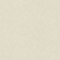 Tapete A.S.Creation 39598-2 Amber