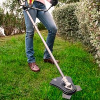 Motocoasă pe acumulator Ryobi RLT18X20B4F imaginea #8 — magazin online Desire.md