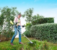 Motocoasă pe acumulator Ryobi RLT18X20B4F imaginea #10 — magazin online Desire.md