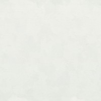 Обои EuroDecor 7238-00 Frame