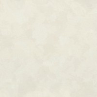 Обои EuroDecor 7238-01 Frame