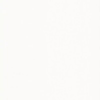 Обои Rasch 927429 Maximum XI