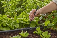 Коннектор садовый Gardena (13326-20) 5pcs фото №6 — интернет-магазин Desire.md