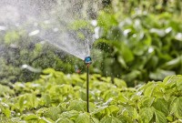 Коннектор садовый Gardena (13326-20) 5pcs фото №2 — интернет-магазин Desire.md