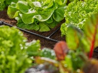 Коннектор садовый Gardena 4.6mm (13211-20) фото №5 — интернет-магазин Desire.md