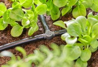 Коннектор садовый Gardena 4.6mm (13211-20) фото №6 — интернет-магазин Desire.md