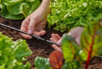 Коннектор садовый Gardena 4.6mm (13213-20) фото №4 — интернет-магазин Desire.md