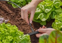 Коннектор садовый Gardena 4.6mm (13213-20) фото №7 — интернет-магазин Desire.md