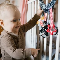 Jucărie pentru pătuturi si carucioare BabyOno Cheese&Skip (797) imaginea #3 — magazin online Desire.md