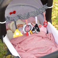 Jucărie pentru pătuturi si carucioare BabyOno Cheese&Skip (797) imaginea #6 — magazin online Desire.md