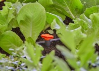 Conector de grădină Gardena 4.6mm (13217-20) 2pcs imaginea #2 — magazin online Desire.md