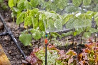 Conector de grădină Gardena 4.6mm (13217-20) 2pcs imaginea #3 — magazin online Desire.md