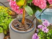 Set de irigare Gardena AquaBloom (13300-20) imaginea #5 — magazin online Desire.md