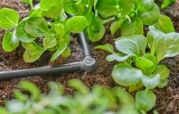 Коннектор садовый Gardena Micro-Drip-System 4.6mm (13212-20) фото №3 — интернет-магазин Desire.md