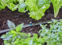 Duza micro Gardena Micro-Drip-System 90* 2.5m (13320-20) imaginea #7 — magazin online Desire.md