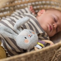 Jucărie cu sunătoare Taf Toys Hare (13025) imaginea #2 — magazin online Desire.md