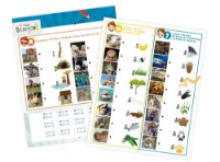 Miniproiector pentru copii Buki BK9006 imaginea #3 — magazin online Desire.md