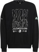 Детская толстовка Adidas U Arkd3 Crew Black/Easy Green, s.140 фото №1 — интернет-магазин Desire.md