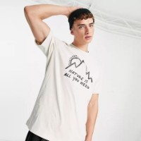 Мужская футболка Jack Wolfskin Bergliebe T M Winter Pearl L фото №2 — интернет-магазин Desire.md