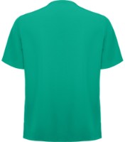 Cămașă medicală Roly Ferox 9085 Lab Green, s.L imaginea #2 — magazin online Desire.md