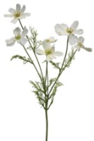 Декоративный цветок Casa Masa Cosmea 78cm White (L21821/WH)