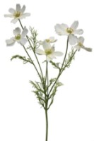 Floare decorativă Casa Masa Cosmea 78cm White (L21821/WH)