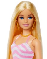 Păpușa Barbie (HPL73) imaginea #5 — magazin online Desire.md