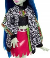 Păpușa Mattel Monster High (HHK58) imaginea #6 — magazin online Desire.md