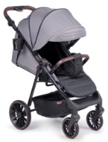 Carucior Coletto Dizzi Steel imaginea #1 — magazin online Desire.md