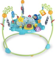 Centru de activitati Baby Einstein Curiosity Cove (13094)