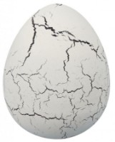 Детский набор для исcледований Buki BKD6G